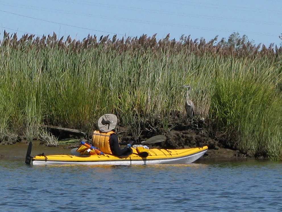 Kayaking